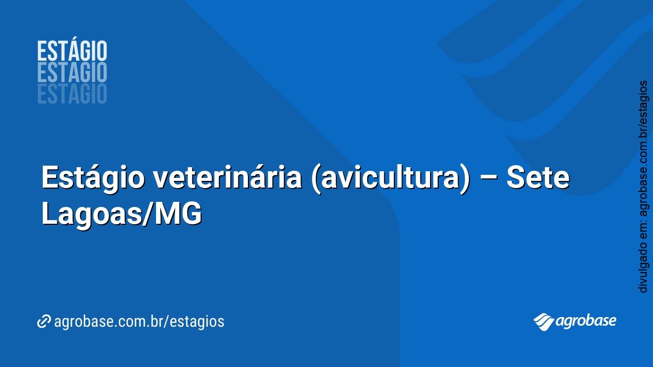 Estágio veterinária (avicultura) – Sete Lagoas/MG