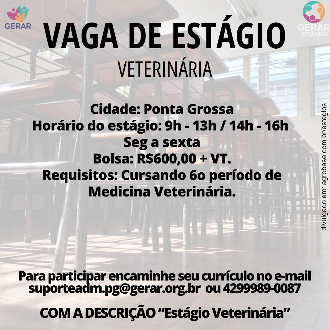 Estágio medicina veterinária – Ponta Grossa/PR